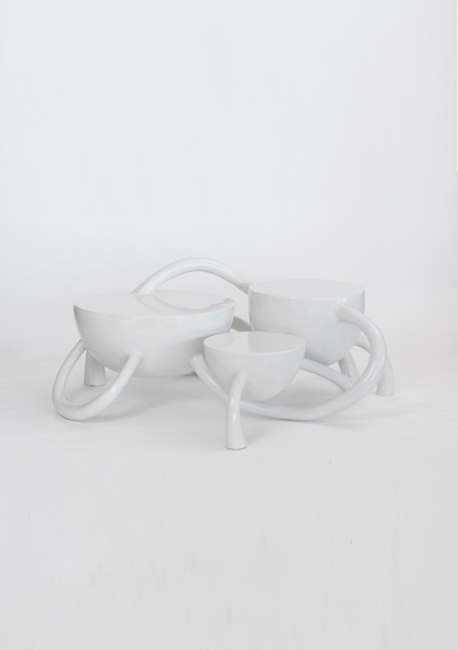 SWAYAM COFFEE TABLE