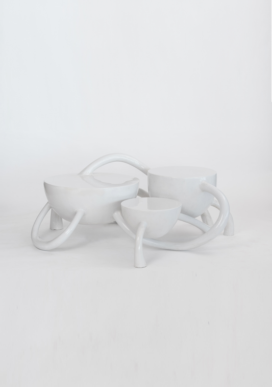 SWAYAM COFFEE TABLE